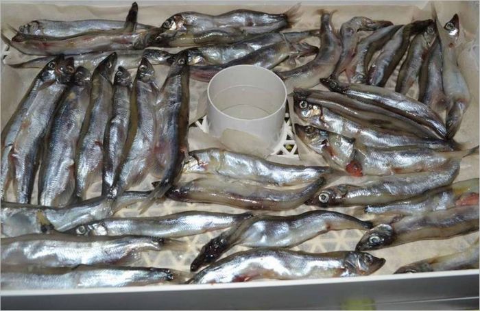 Obrada proizvoda