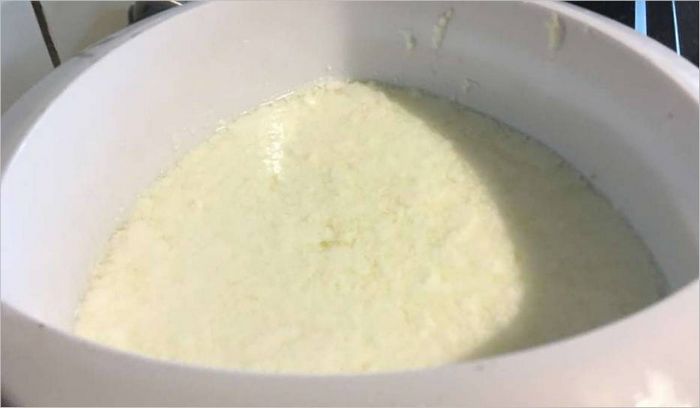 mozzarella u tijeku