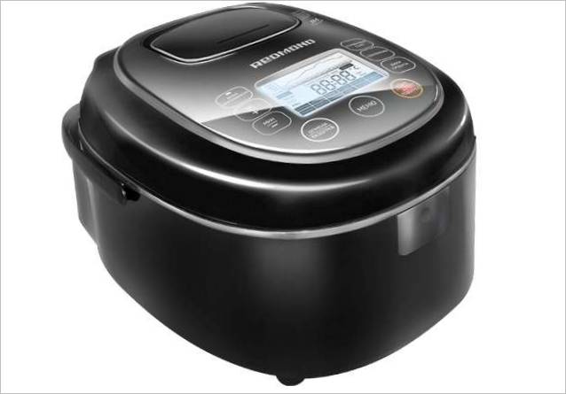 ACE-ACE450 ACE-prvi svjetski indukcijski multicooker s ACE – ACE