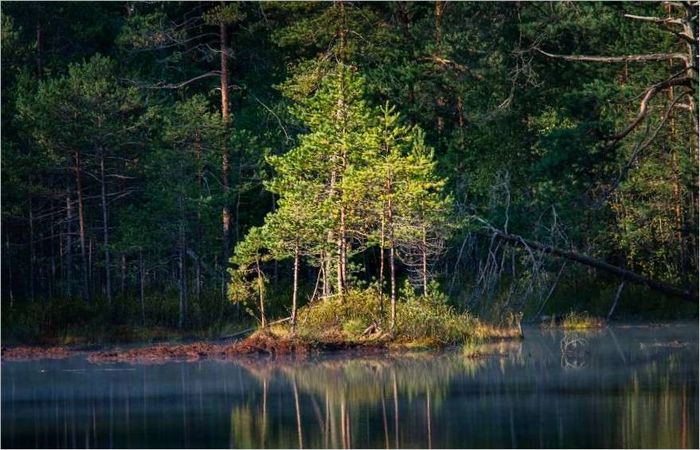 Fotografska oprema