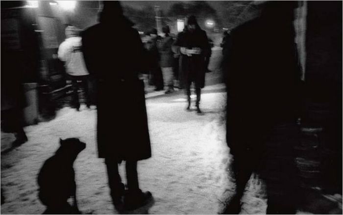 14. Noćni autobus. Sankt Peterburg, 2005