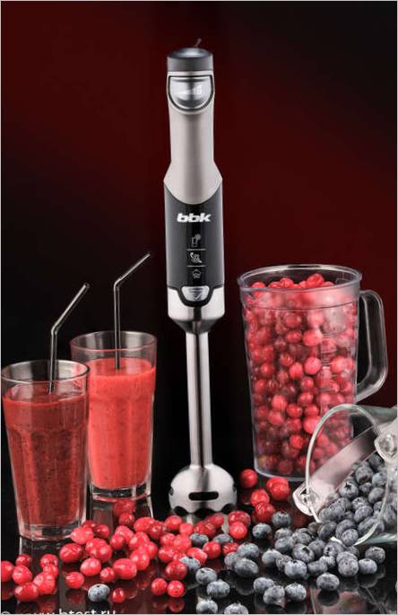 ATINI1016 potopni Blender ATINI1016 potopni Blender