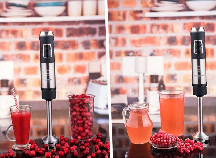 Potopni Blender 3524 Potopni Blender 3524