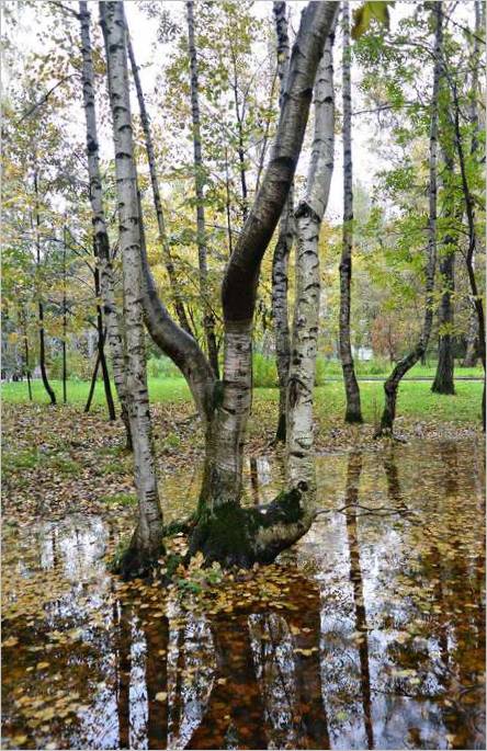 Fotografska oprema