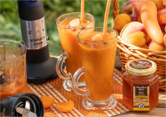 potopni Blender Ace-Ace42 Ace40 potopni Blender Ace-Ace42 Ace40