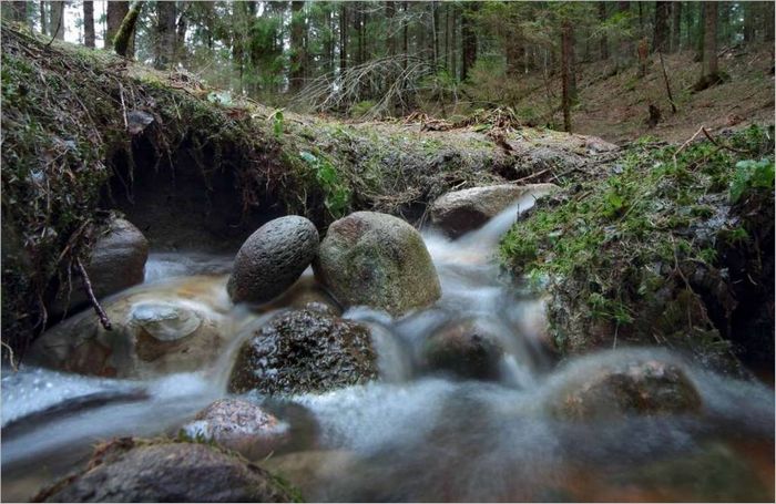 Fotografska oprema