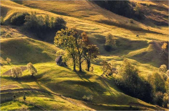 Kamere bez zrcala