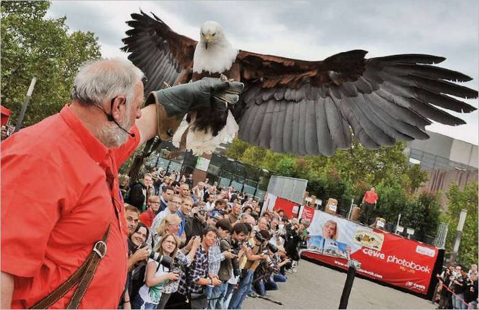 Kompaktni fotoaparati