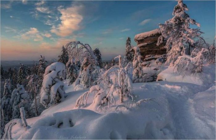 Fotografska oprema